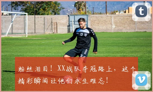 粉丝泪目！XX战队夺冠路上，这个精彩瞬间让他们永生难忘！