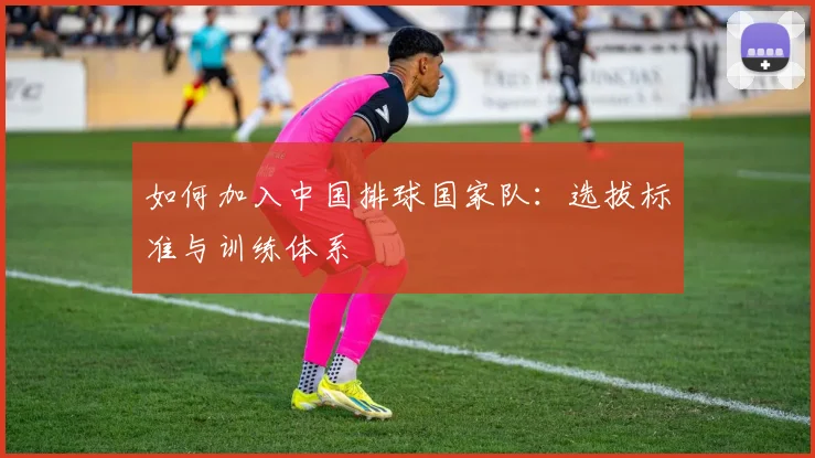 如何加入中国排球国家队：选拔标准与训练体系
