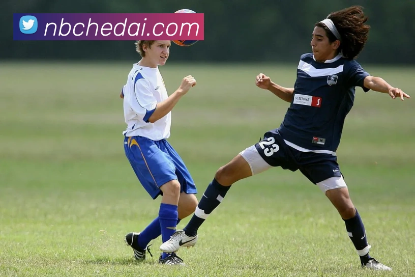 未来规划